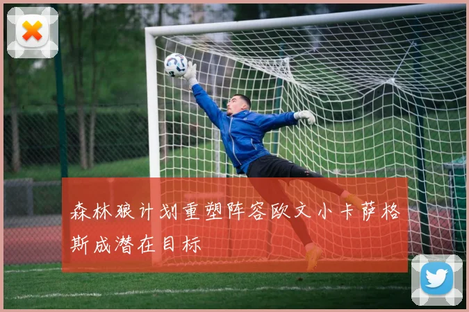 森林狼计划重塑阵容欧文小卡萨格斯成潜在目标